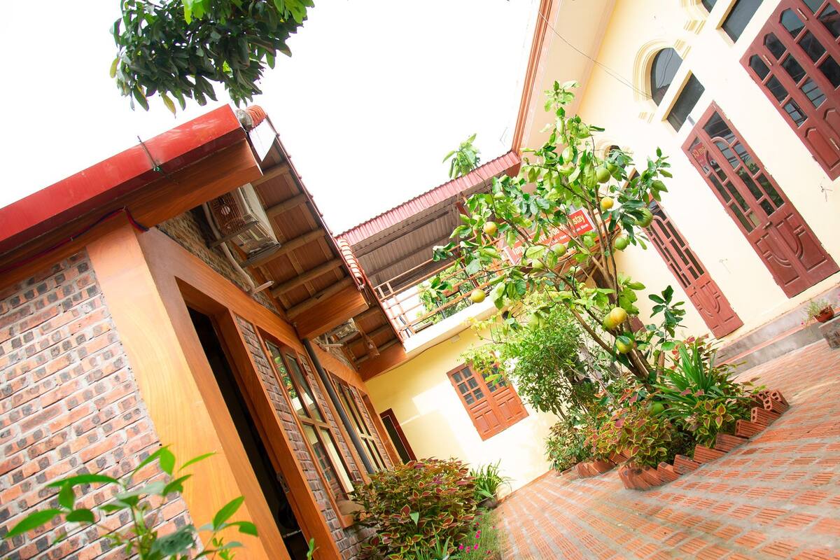Une cour avec un sol en briques, un arbre aux fruits verts et un bâtiment aux portes et fenêtres rouges.