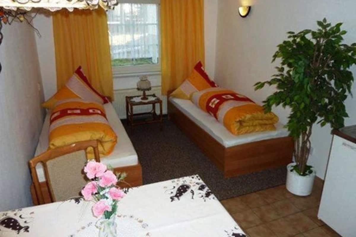 A small, compact room with two single beds, a small table with a vase of flowers, a potted plant, and a window with curtains.