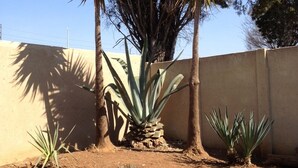 Garden - AfricaWisa at O.R.Tambo Airport (Kempton Park)