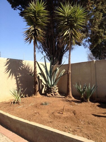 AfricaWisa at O.R.Tambo Airport