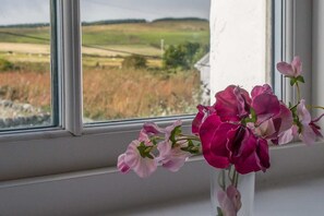 A window with a view of a rural landscape, a vase with pink flowers, and a white wall. - Port Charlotte Holidays (Islay Island)