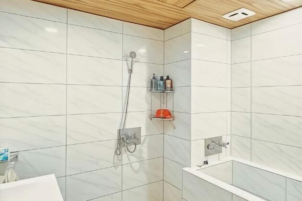 Bañera y ducha independientes, cabezal de ducha tipo lluvia