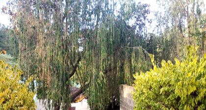 Family Comfort Hotel