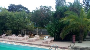 A swimming pool with lounge chairs and palm trees. - Family Comfort Hotel (Nanyuki)