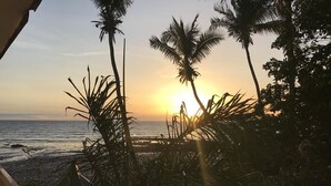 Ein Sonnenuntergang mit Palmen und einem Strand.