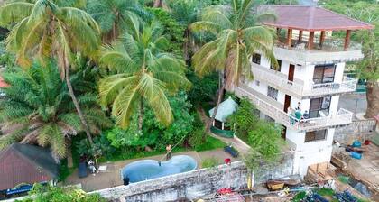 Pension Les Palmiers