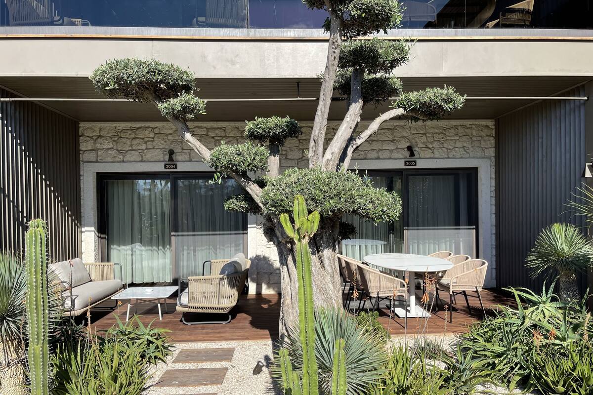 Un patio exterior moderno con pared de piedra, un árbol de cactus y una zona de estar con mobiliario de mimbre.