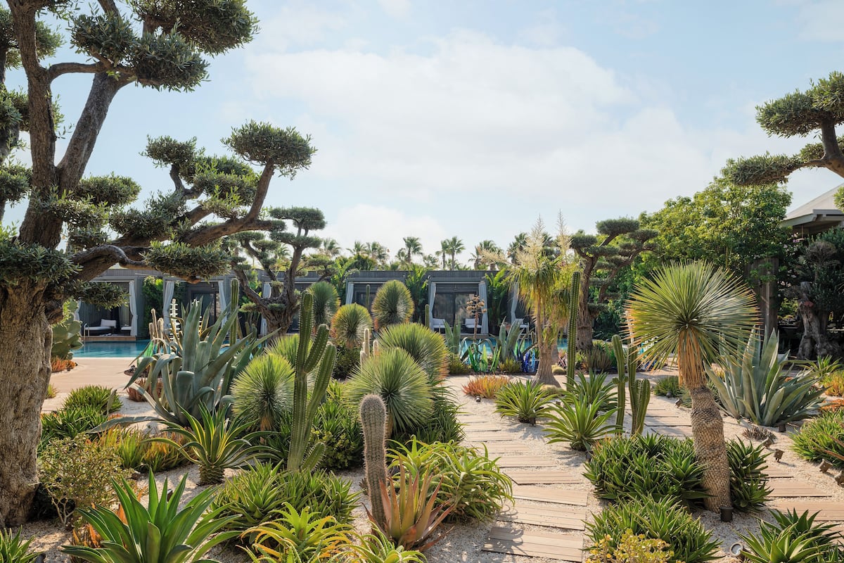 Laguna Suite Swim Up Terrace Adult Only | Eksterior