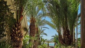 A paved pathway flanked by palm trees and greenery, leading to a building with a view of the sea. - Biblos Beach Resort Alaçatı (Cesme)