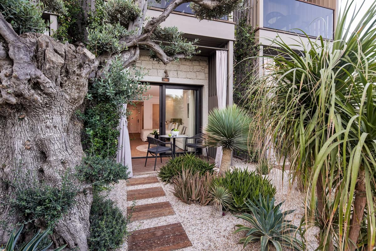 Un área de estar al aire libre moderna con un muro de piedra, una terraza de madera y diversas plantas.