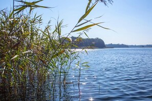 Ein ruhiger See mit Schilf im Vordergrund und einer entfernten Uferlinie.