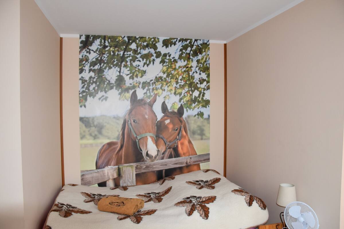 Un dormitorio con una cama que tiene una colcha con motivos de caballos, un cabecero de madera, un ventilador de pared y un cartel grande con la imagen de dos caballos.