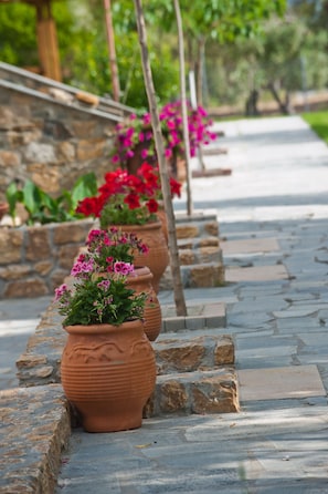 Front of property - Sofia's House (Sithonia)
