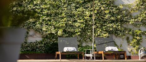 A poolside area with two lounge chairs, a white umbrella, and a wall covered in climbing plants.