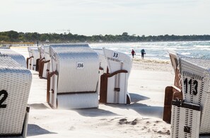 Strandstühle mit Nummern, ein Sandstrand und das Meer im Hintergrund.