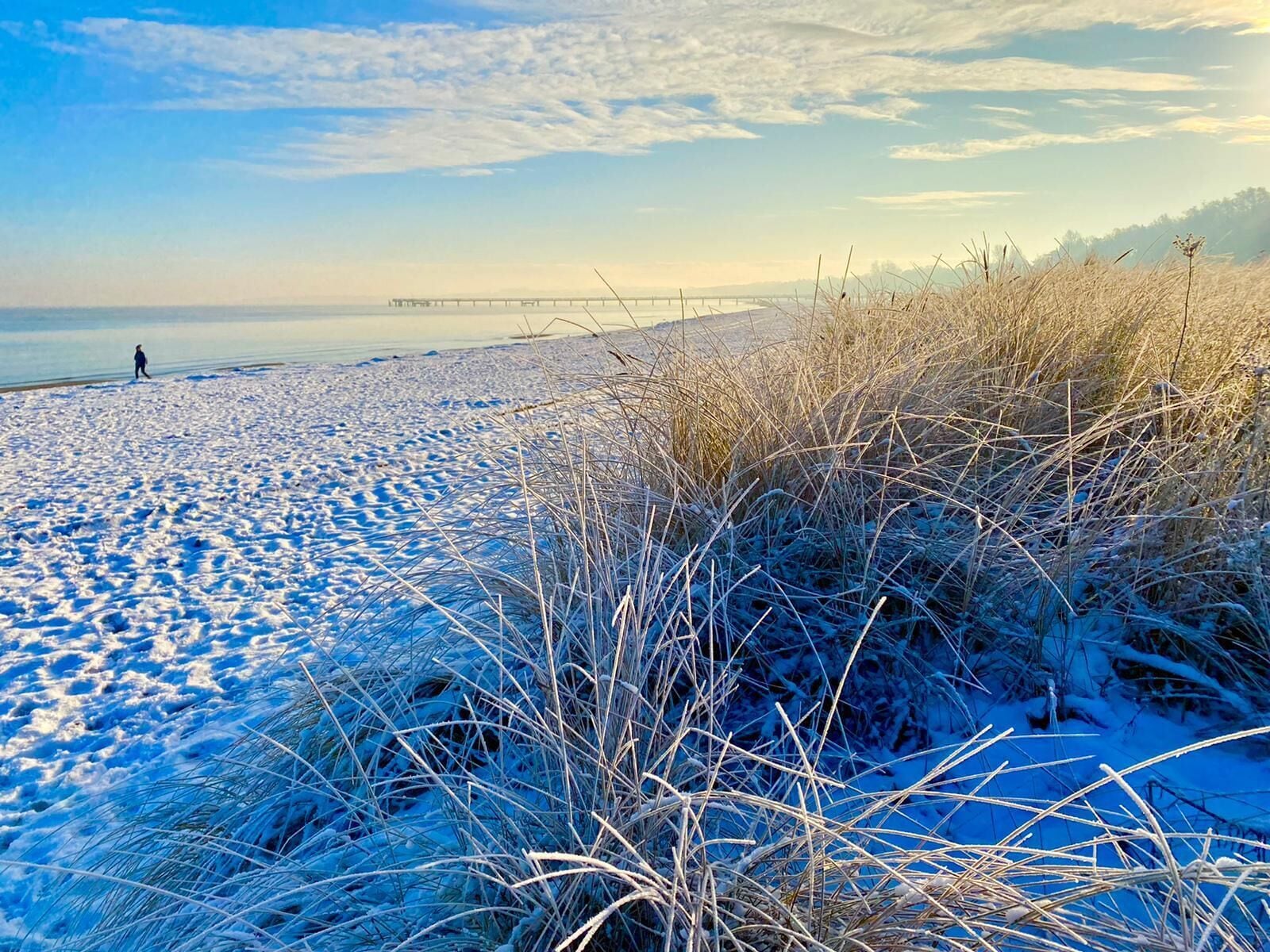 A beach with snow-covered sand and sparse vegetation.