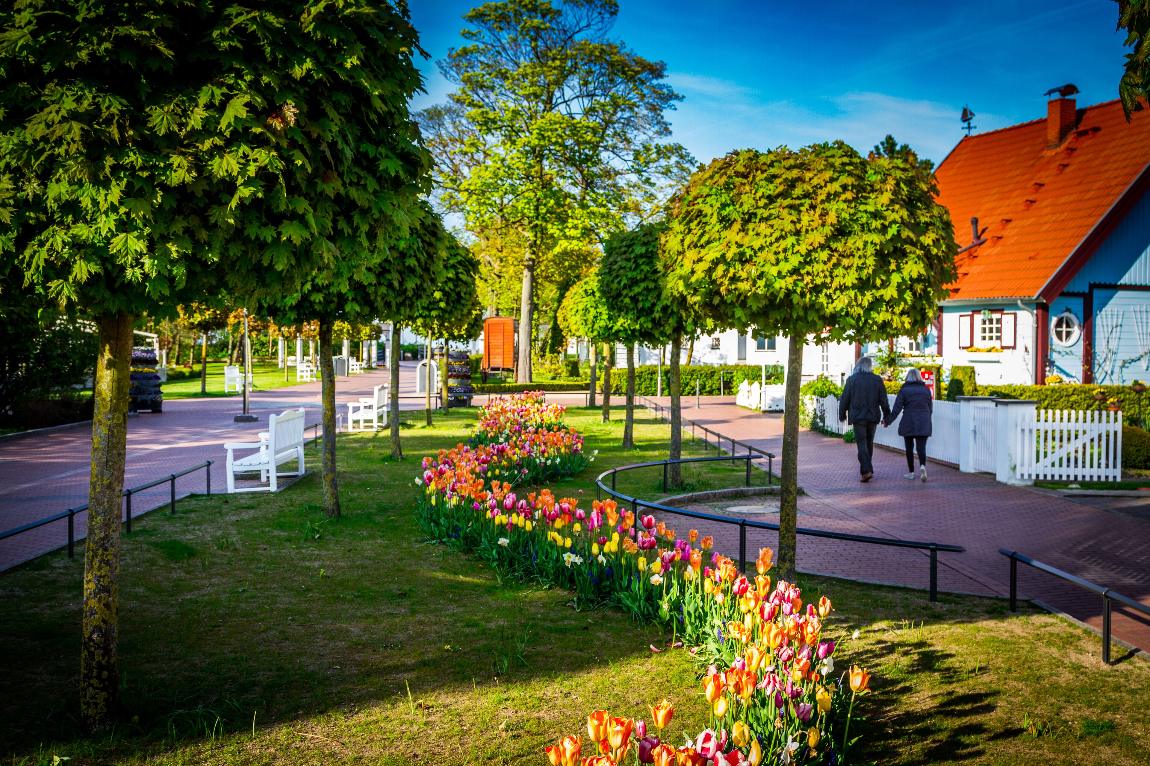 En park med bænke, blomsterbed og sti.