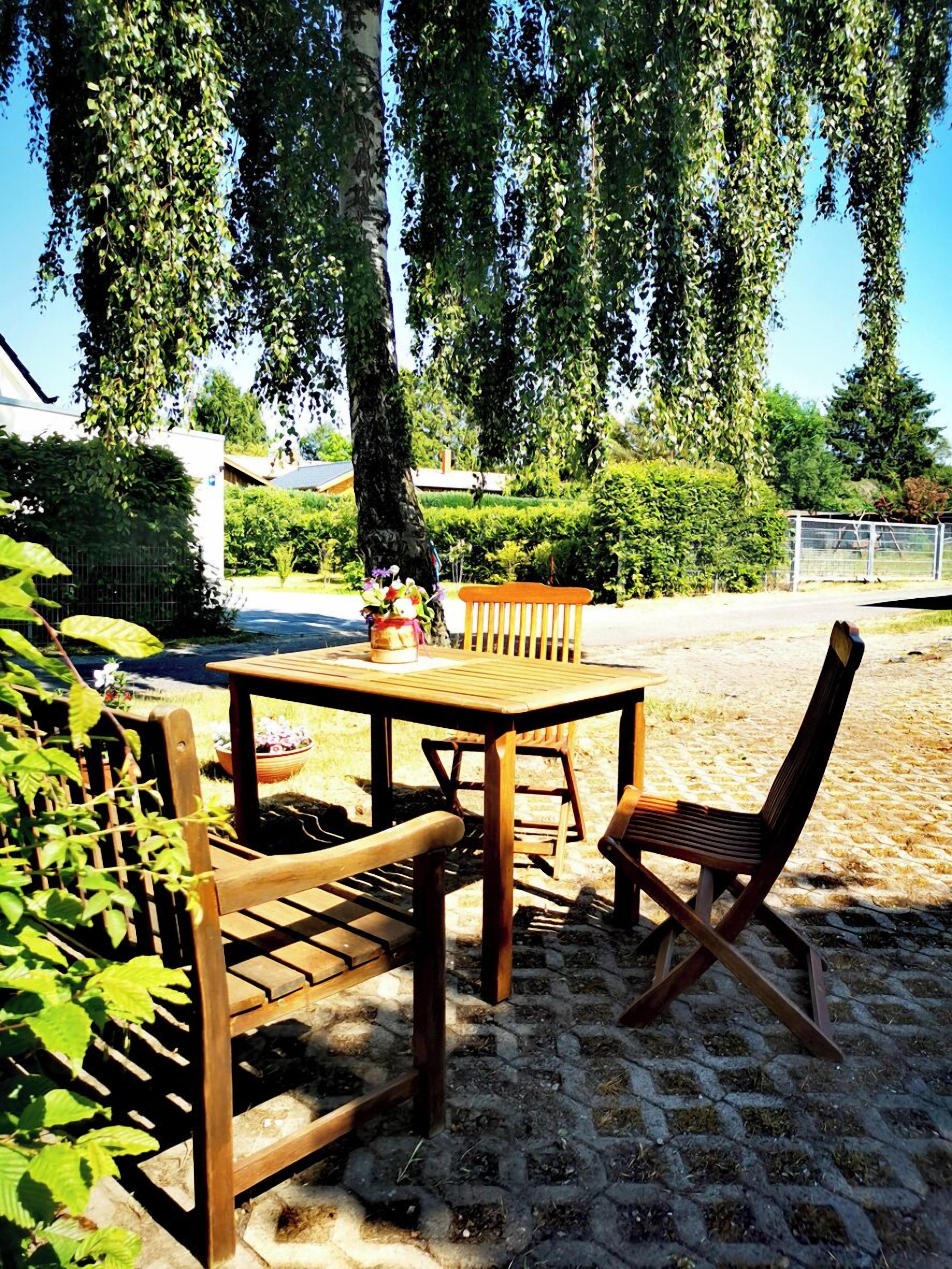 Terraza o patio