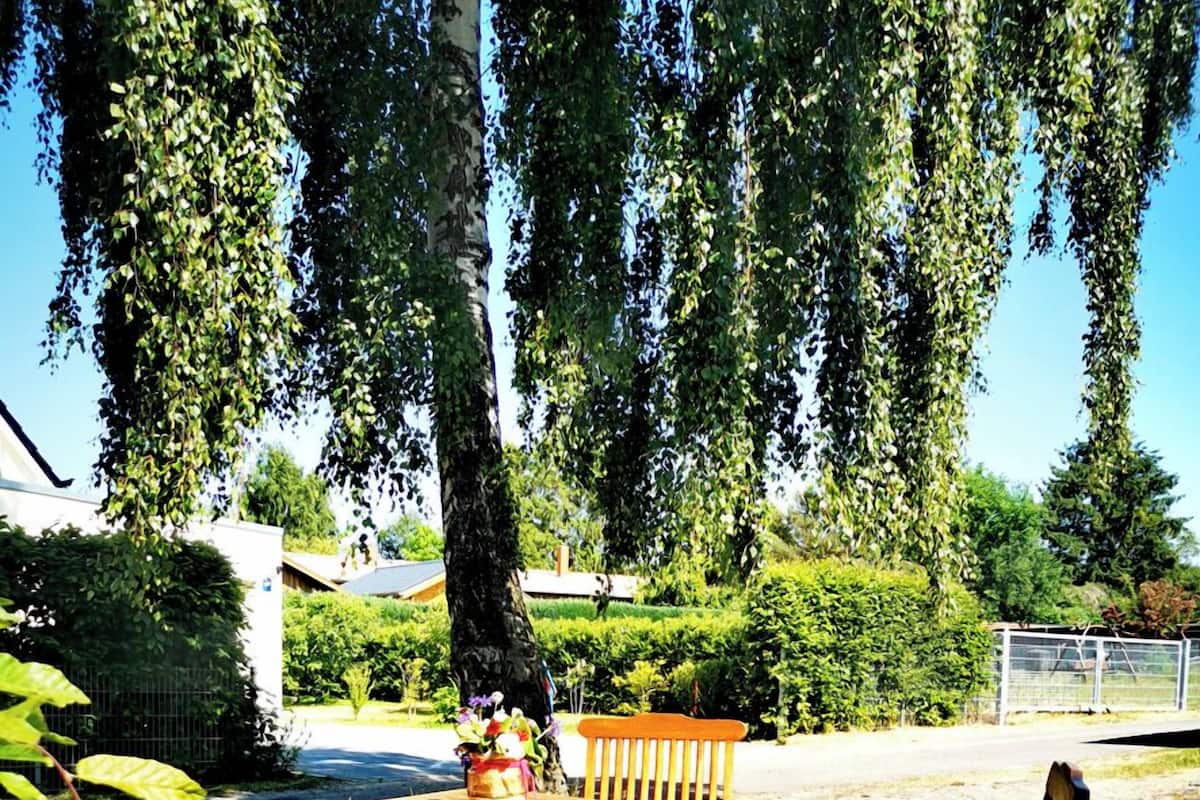 En utomhusplats med sittmöbler, bestående av ett träbord och stolar, omgiven av grönska och ett staket.