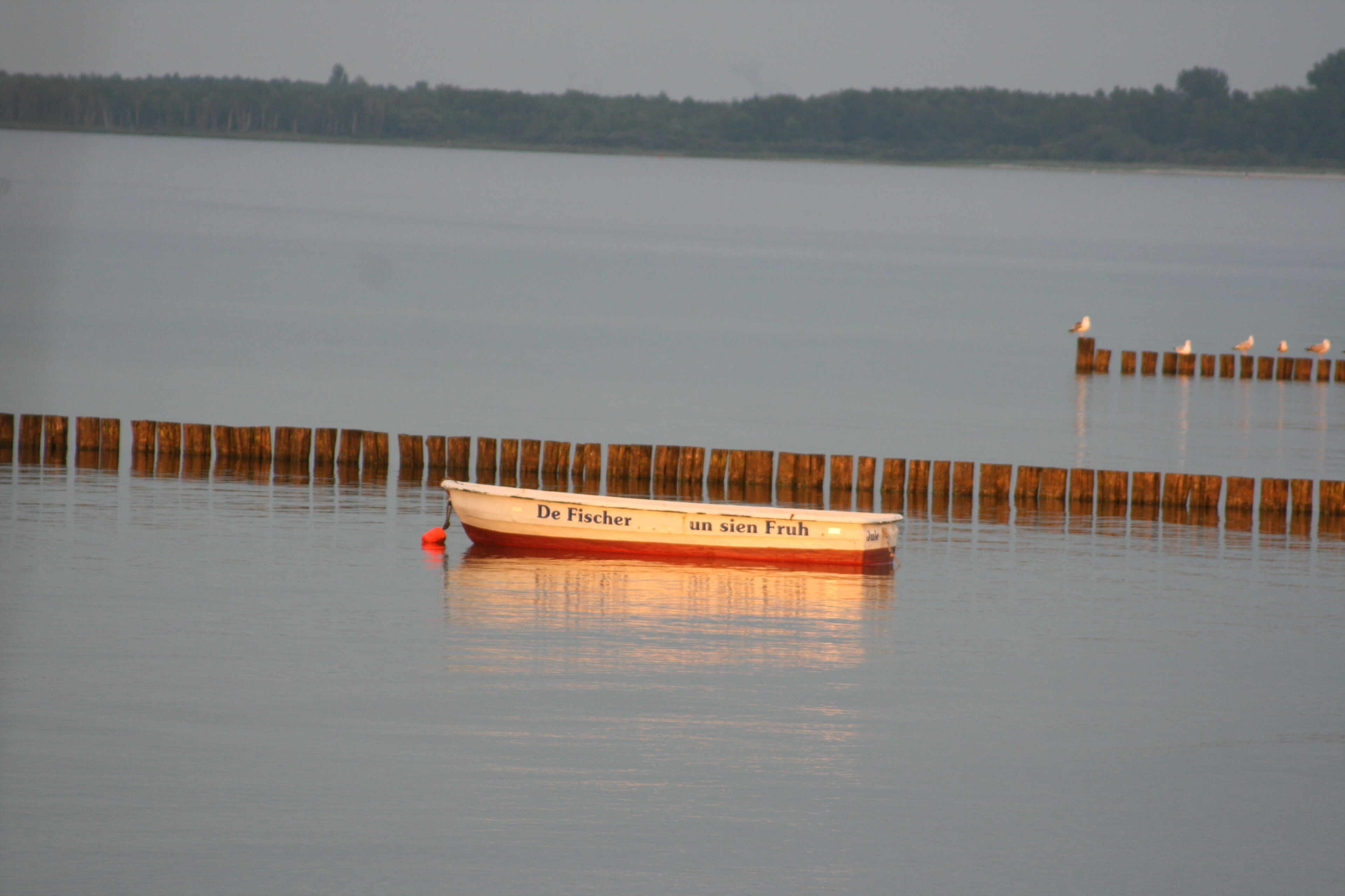 A calm lake with a wooden dock and a boat named "De Fischer".