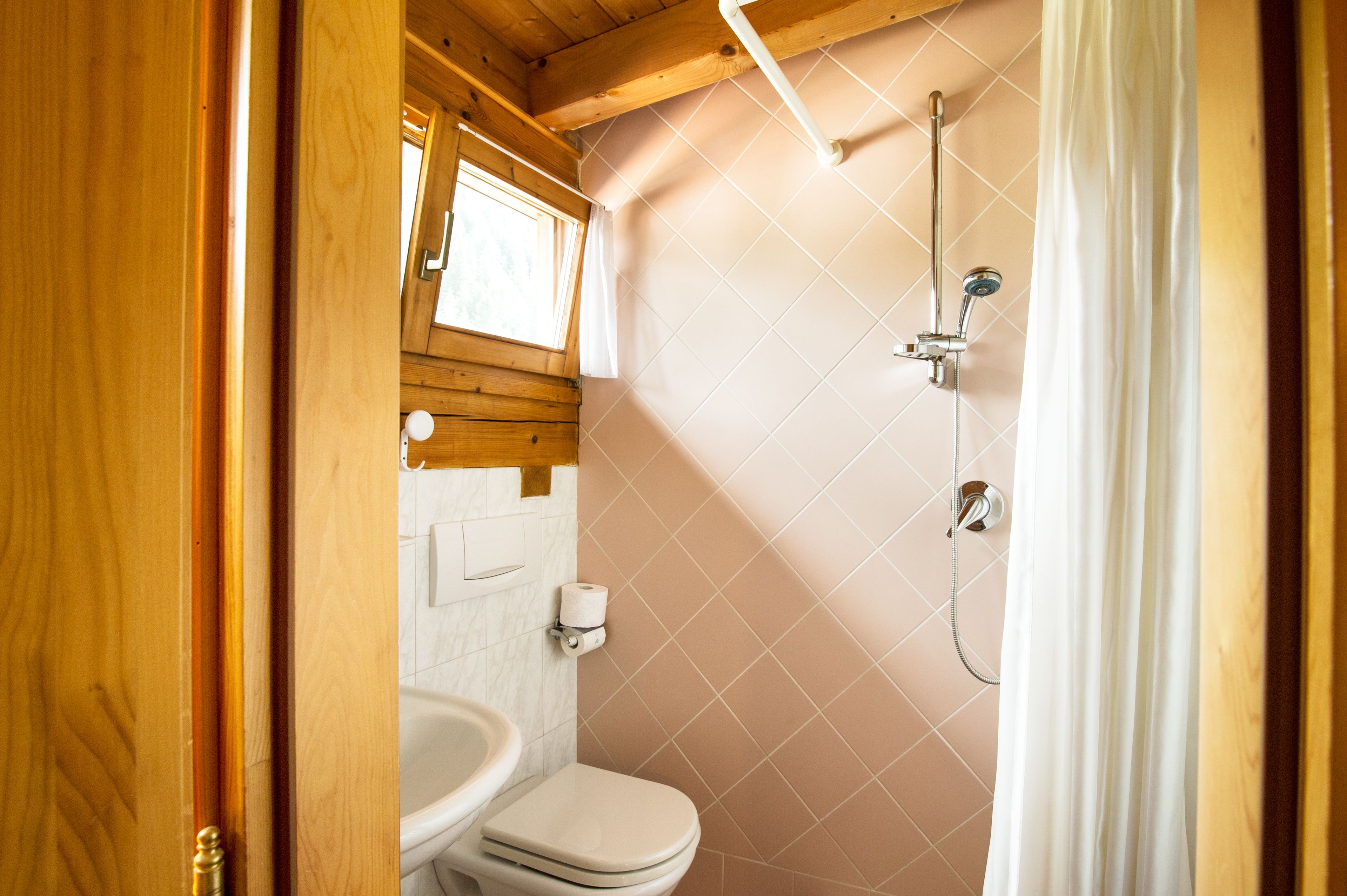 single room, mountain view | bathroom | shower, hair dryer