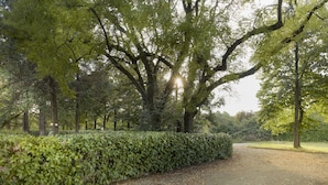 A park pathway lined with trees and a hedge. - Meditur Hotel Bologna (San Lazzaro di Savena)