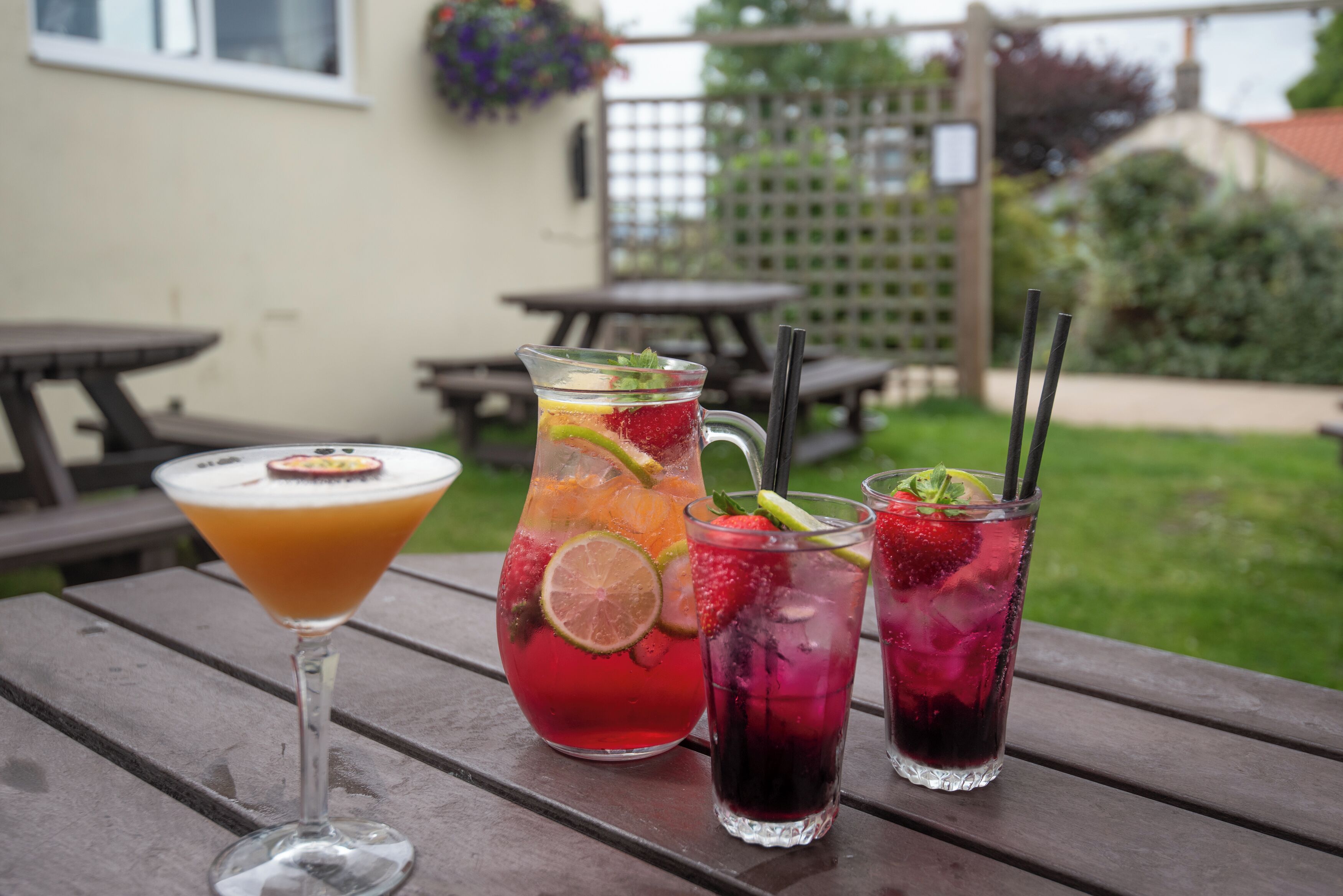 A picnic table with three drinks: a martini, a pitcher with fruit, and two iced beverages.
