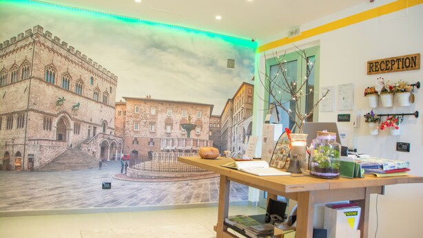 Un espace d’accueil orné d’une fresque représentant un bâtiment historique, un comptoir d’accueil et une enseigne indiquant « RÉCEPTION ».