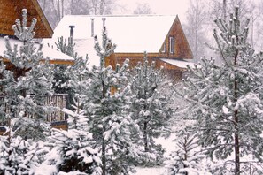 Exterior - Cottage complex Ozerny Bereg (Larionovskoe)