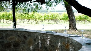 A stone table set for dining with a vineyard view in the background.