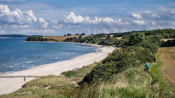 A coastal landscape with a sandy beach, grassy areas, and a path leading to the water. - Haus Stern (Wangels)