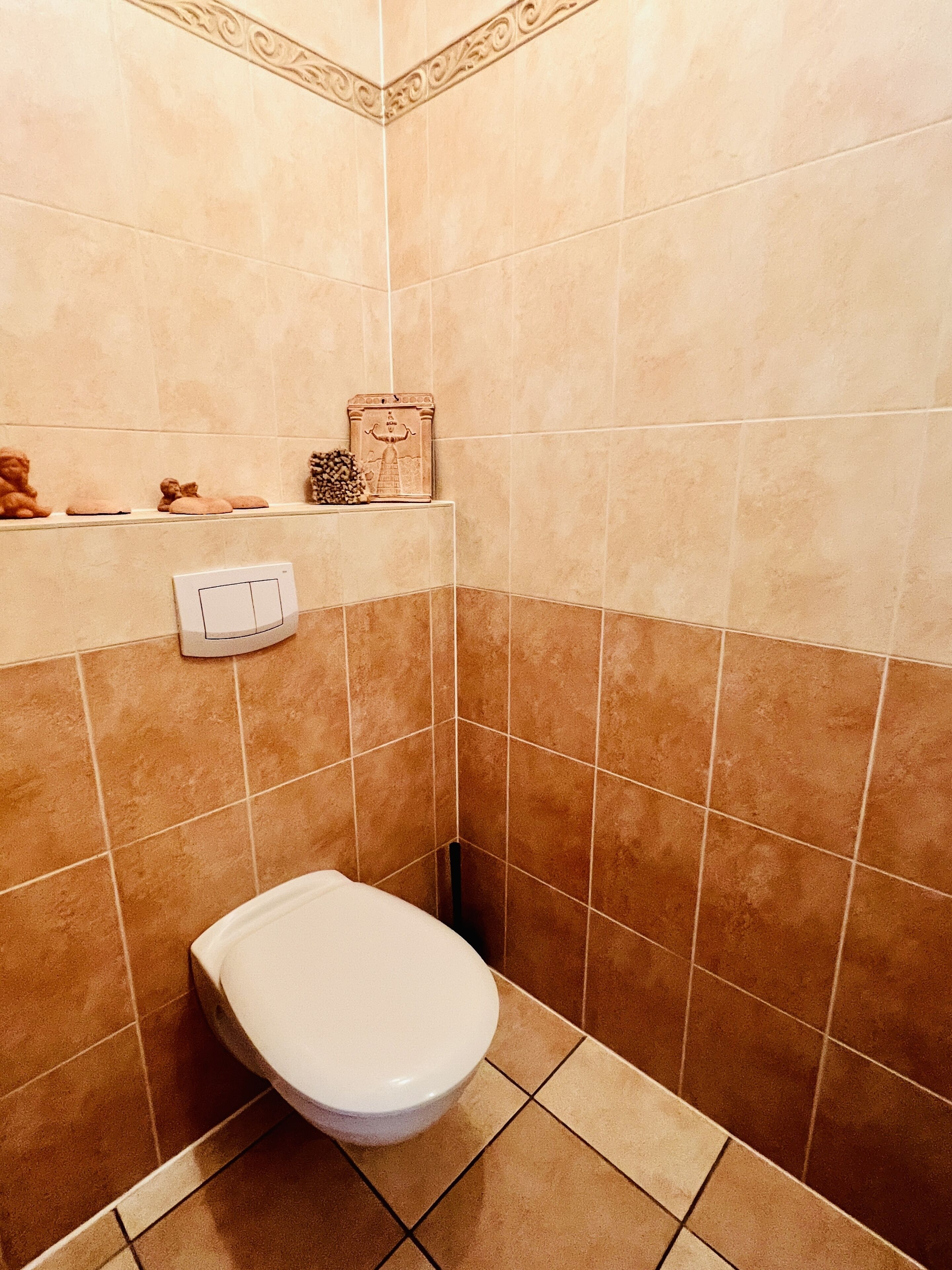 A bathroom with a toilet, a shelf with toiletries, and a decorative tile border.