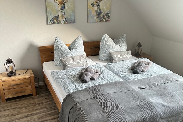 Comfort Apartment | Iron/ironing board (on request), WiFi (free), bed sheets