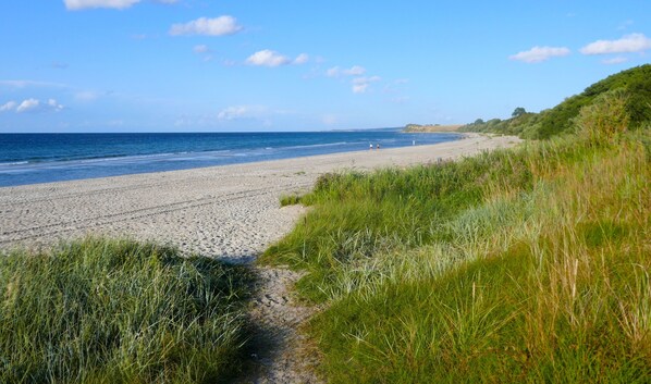 A beach with a clear path leading to the shore, surrounded by grassy areas.