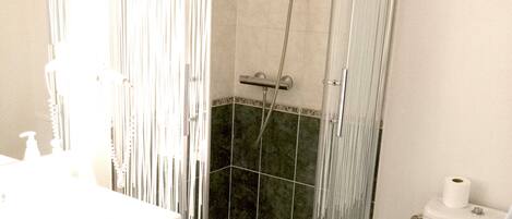 A glass-enclosed shower with a handheld showerhead, a toilet, and a sink with a soap dispenser.