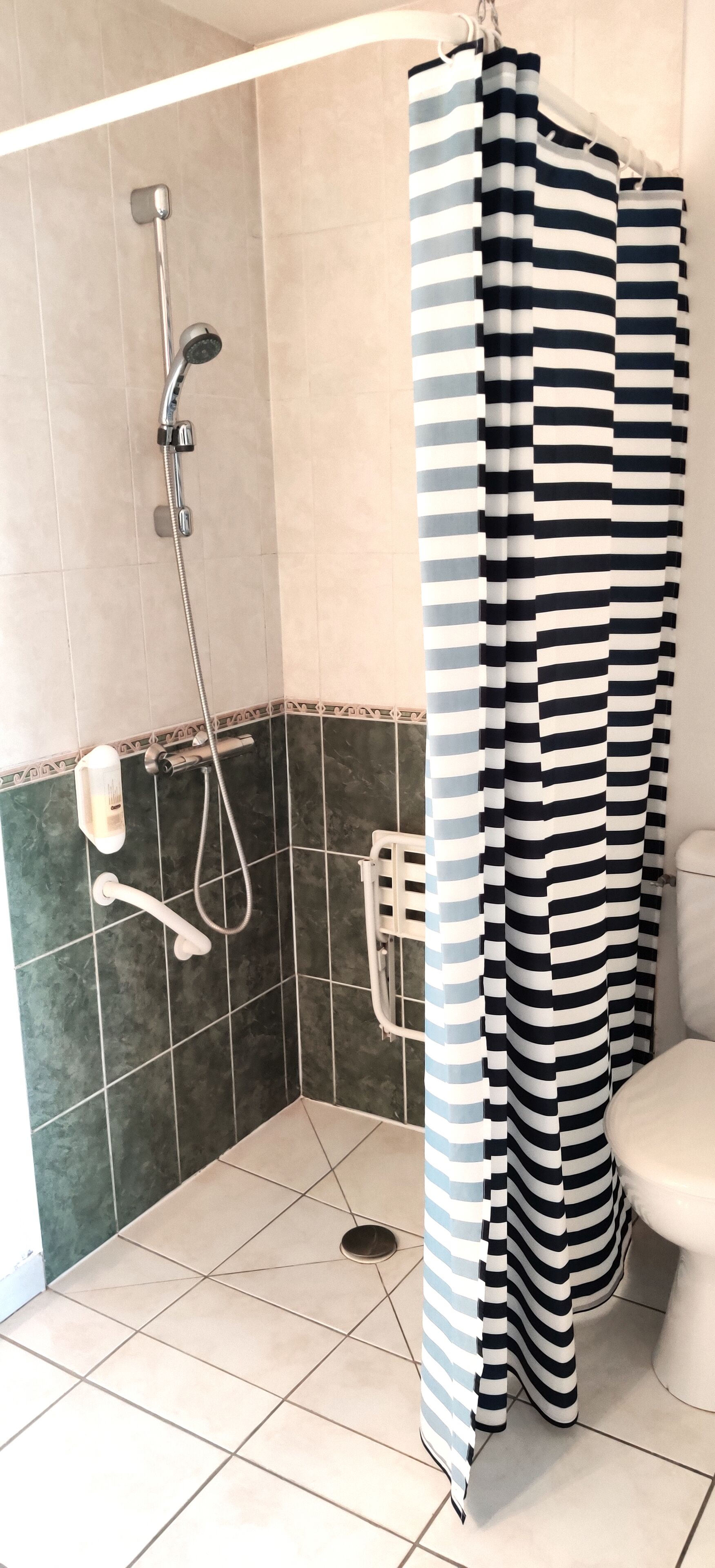 standard double room, accessible | bathroom | shower, free toiletries, hair dryer, towels