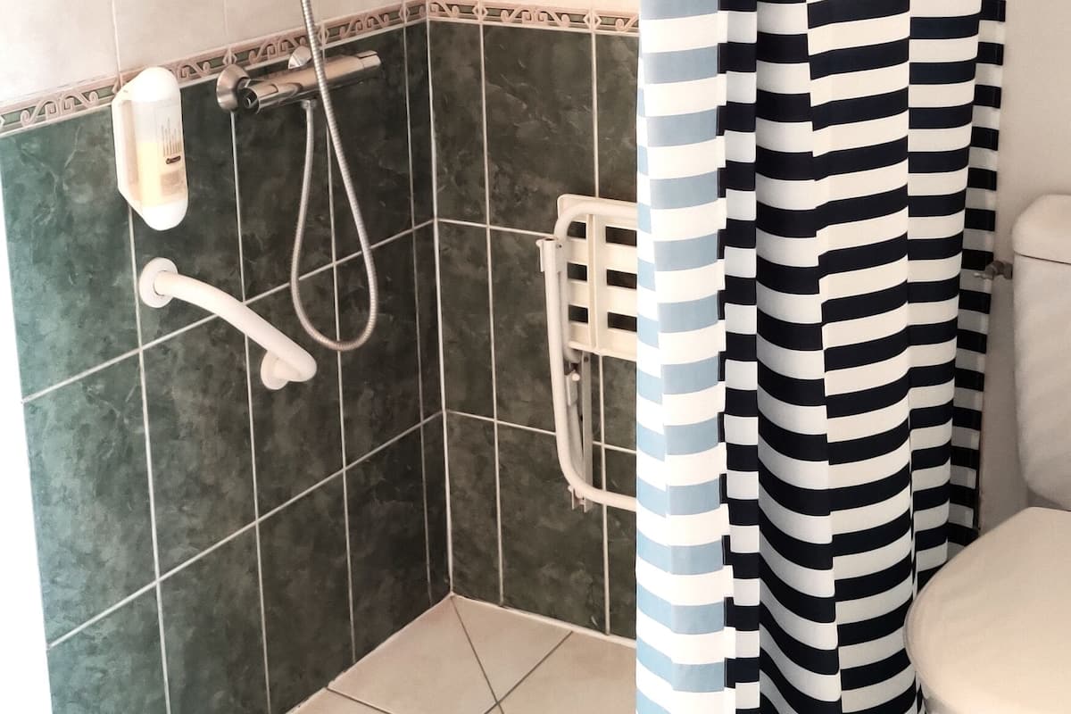 standard double room, accessible | bathroom | shower, free toiletries, hair dryer, towels