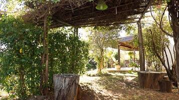 Jardim