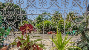 Un jardín con diversas plantas en macetas y una valla metálica decorativa.