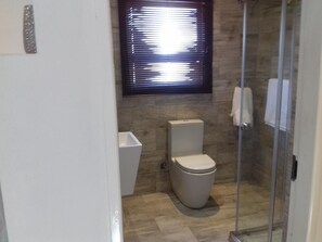 Shower, free toiletries, hair dryer, towels