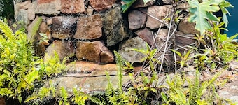 Pousada Recanto da Chapada