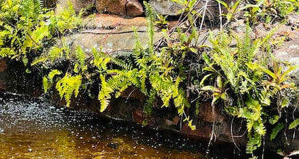 Pousada Recanto da Chapada
