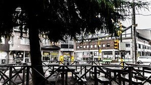 A street view with a tree, a pedestrian crossing, and buildings with various storefronts. - Trip Bariloche Select Hostel (San Carlos de Bariloche)