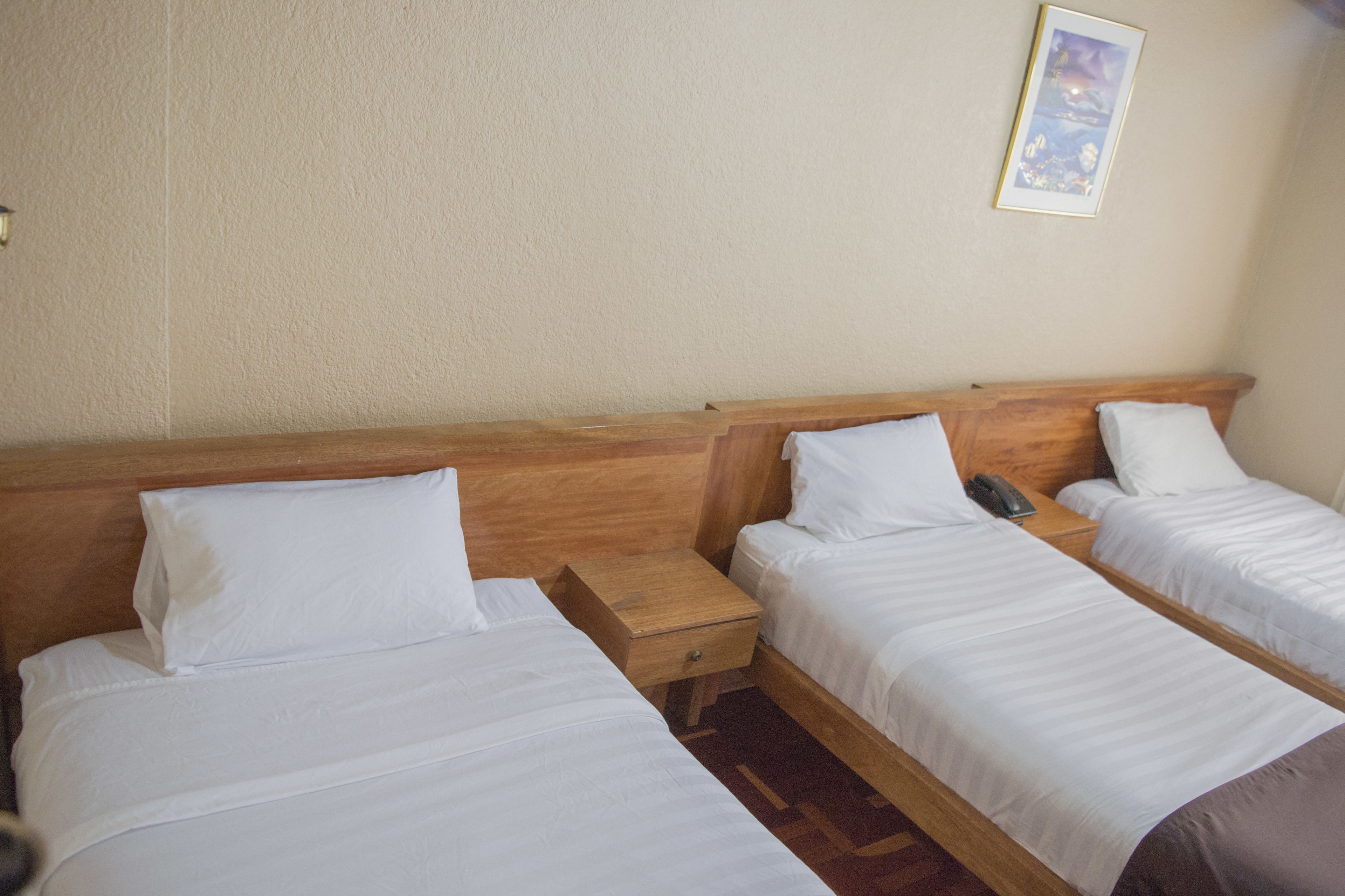 Foto - Hostal Loro Verde