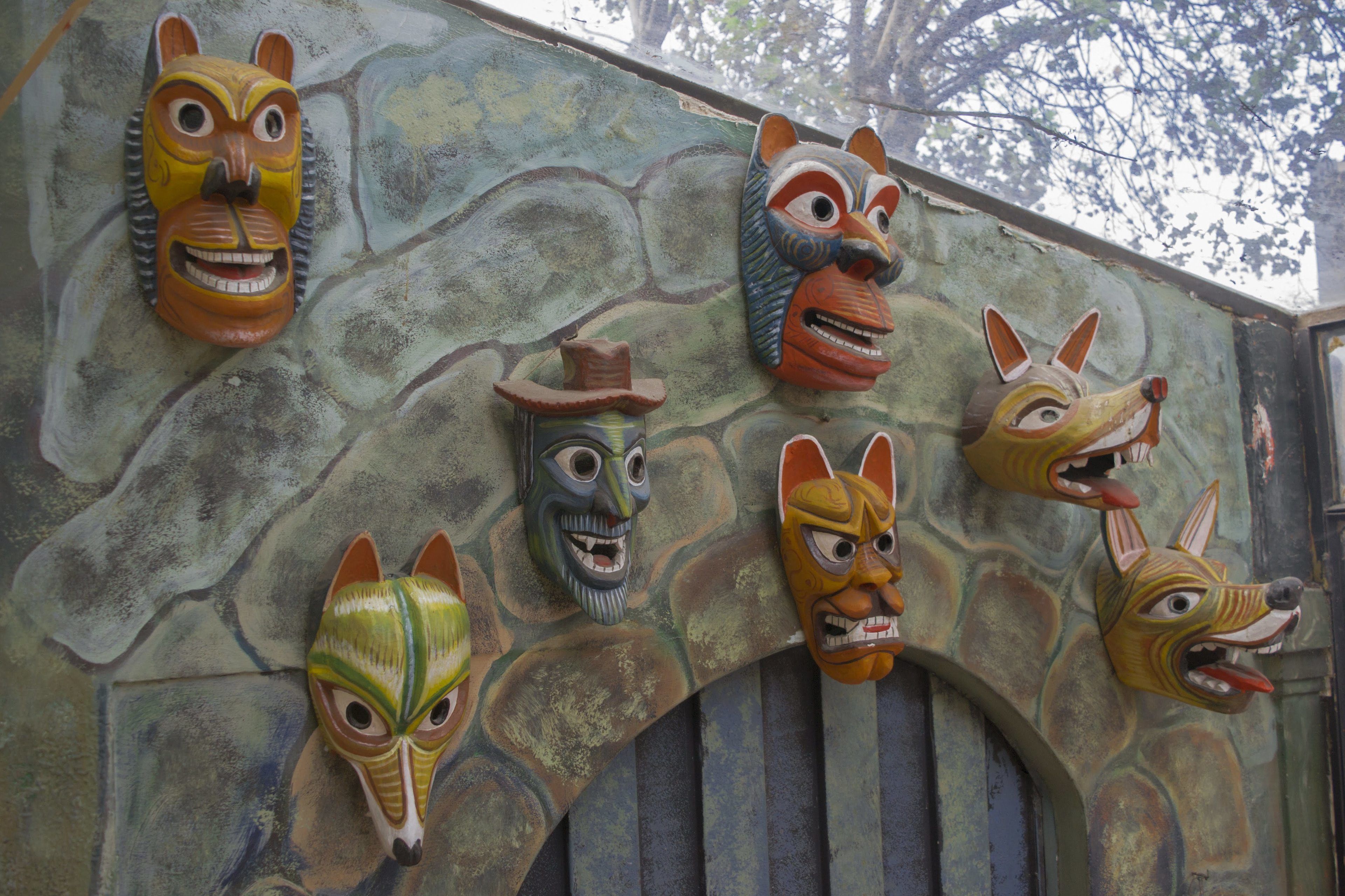 Foto - Hostal Loro Verde