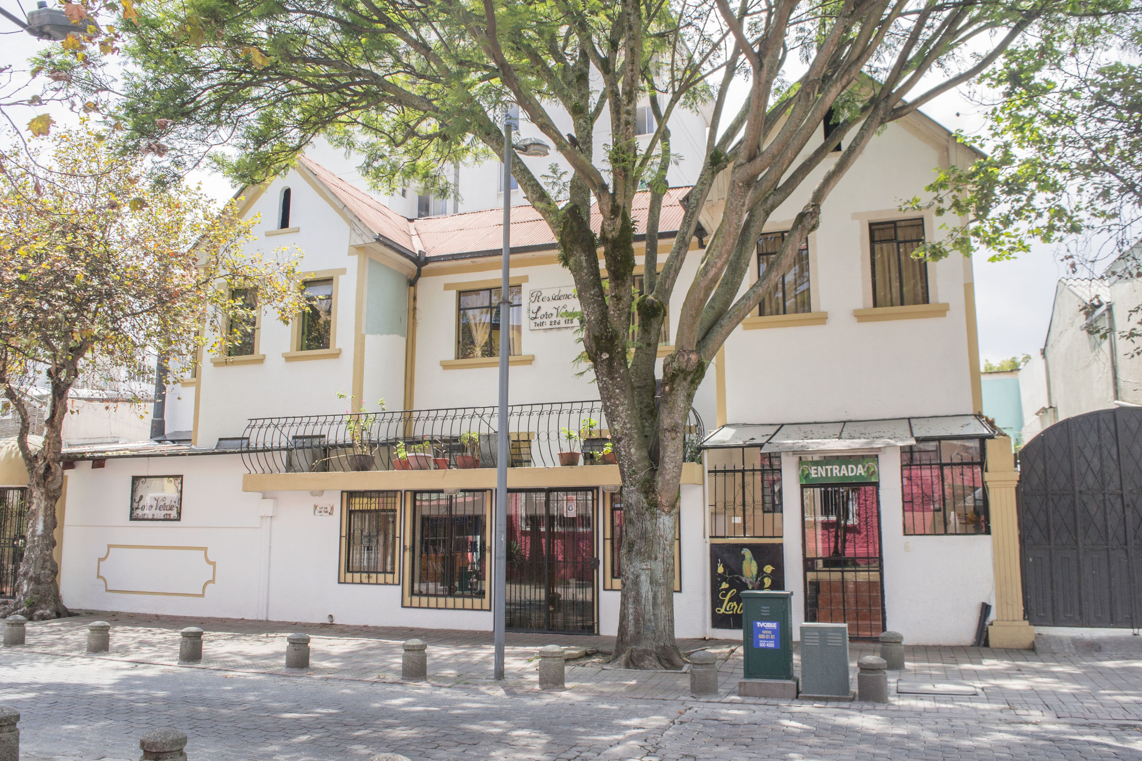 Foto - Hostal Loro Verde