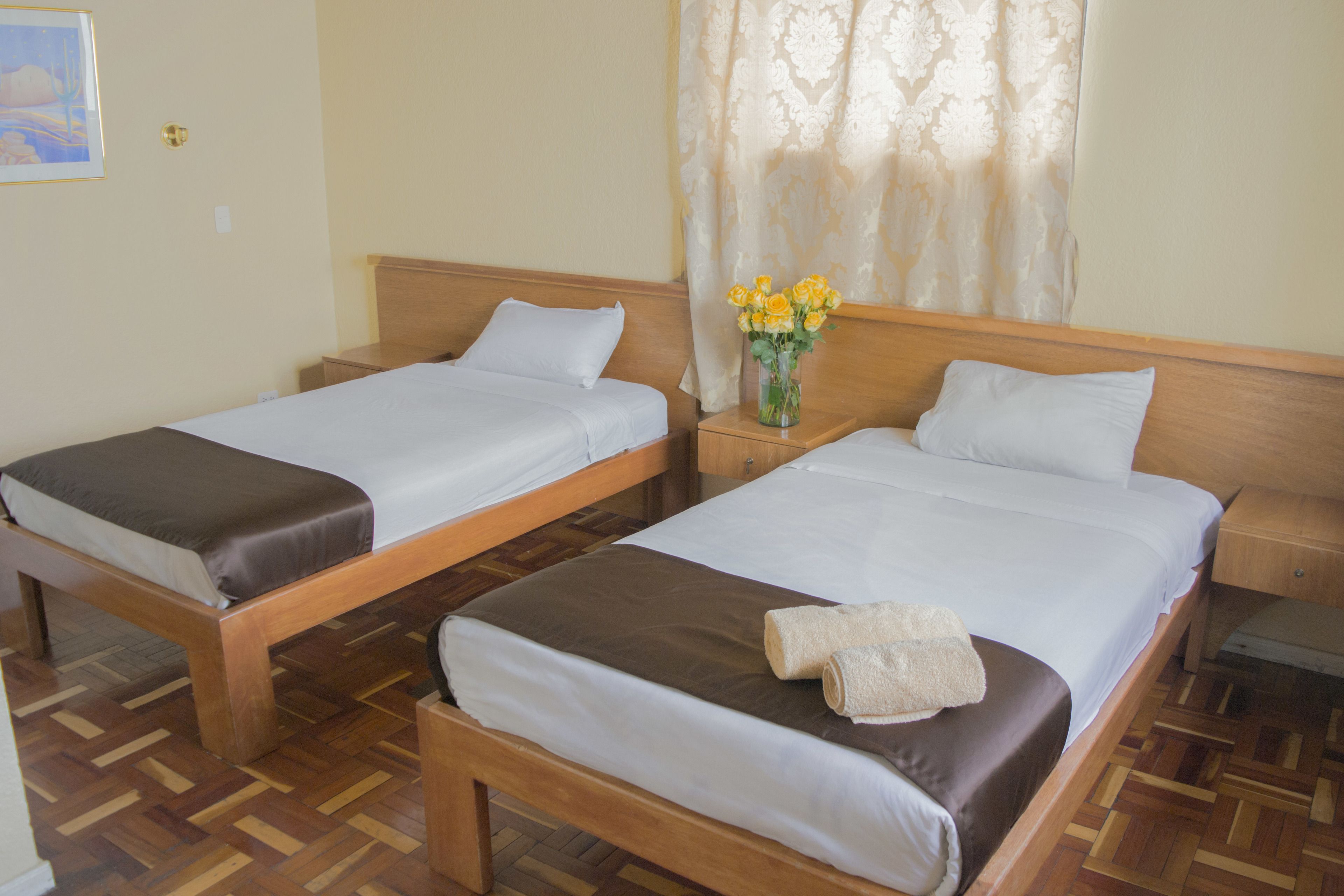 Foto - Hostal Loro Verde