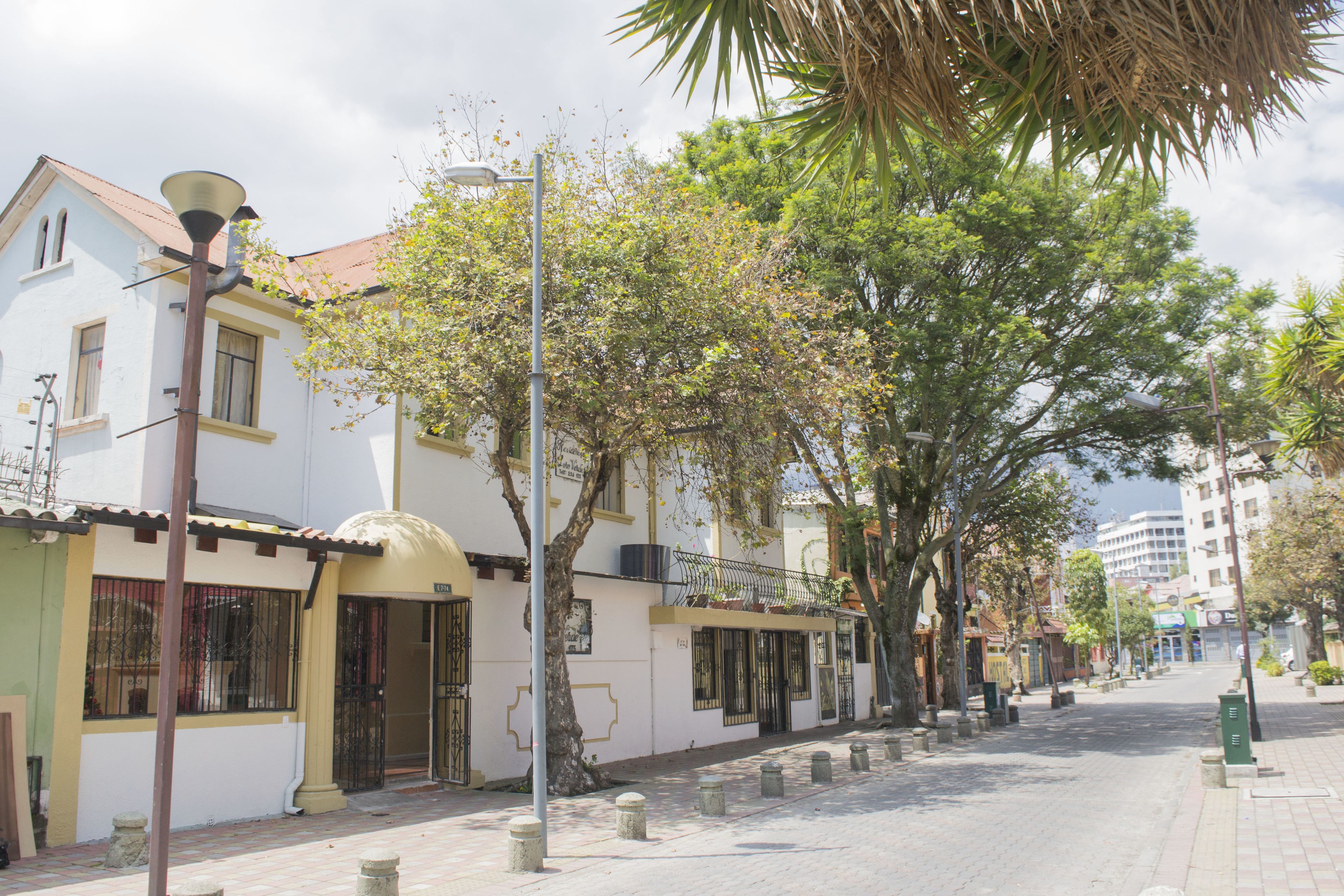 Foto - Hostal Loro Verde