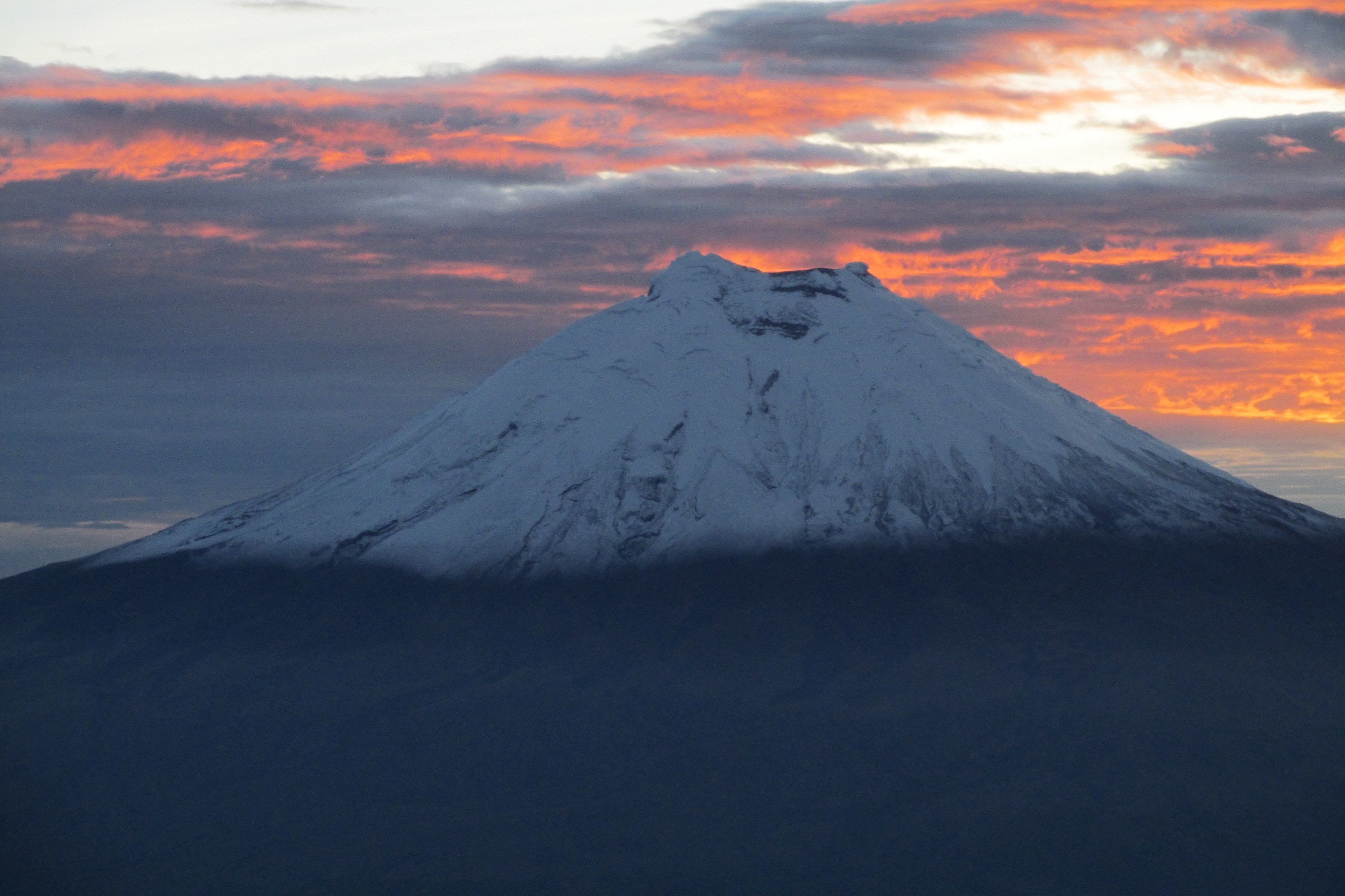 Foto - Hostal Loro Verde