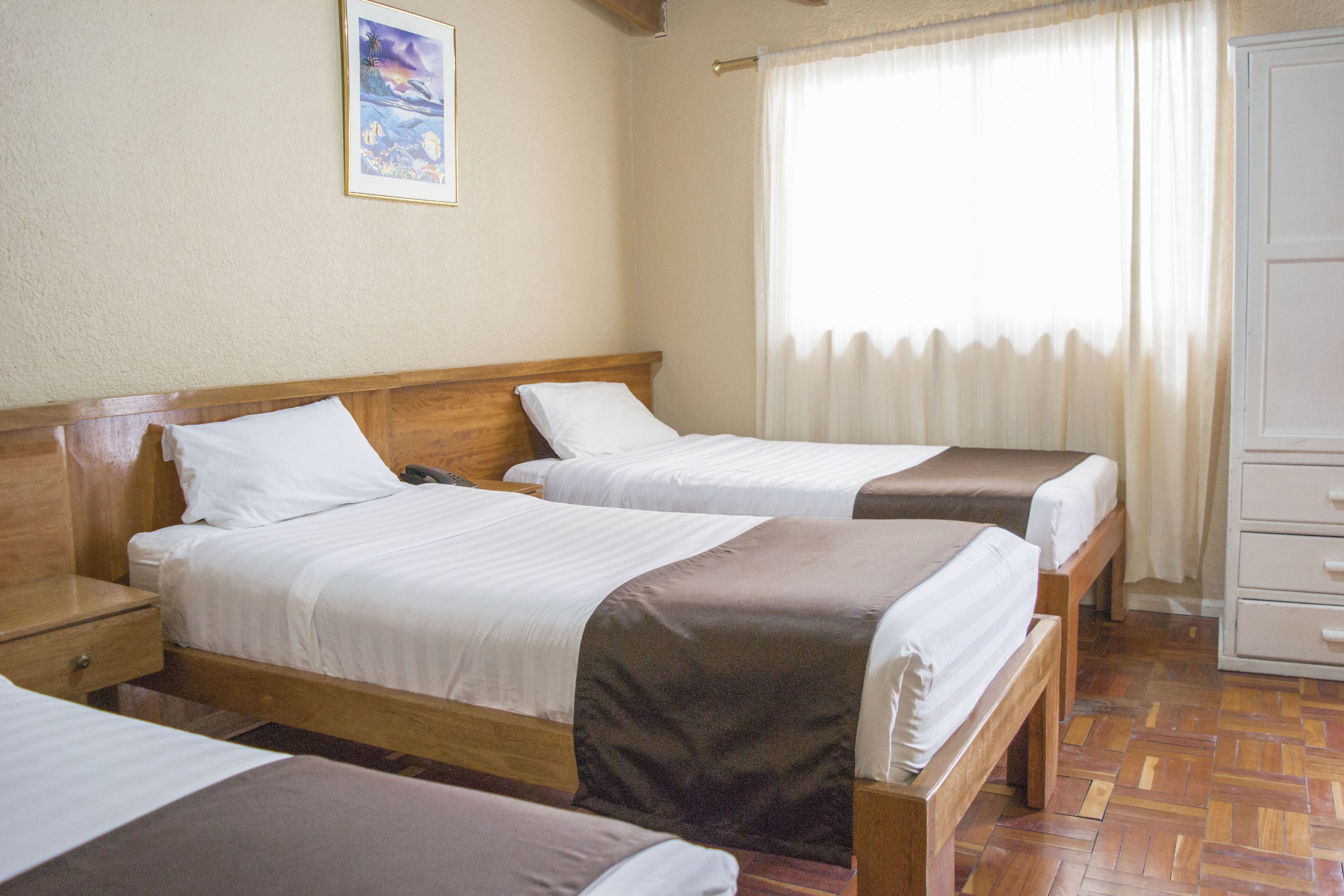 Foto - Hostal Loro Verde